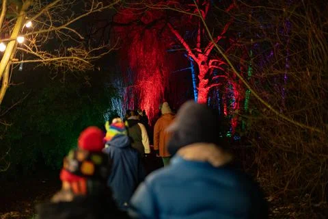 Spectral Arbor Illumination 스톡 사진