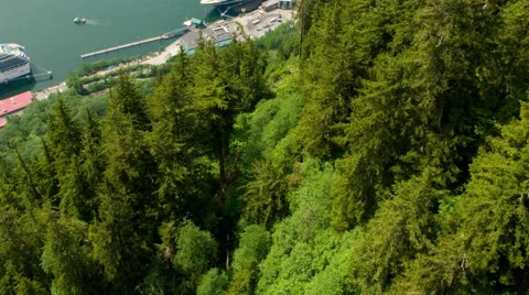 Sped-up descent on Mount Roberts Tramway, Juneau Stock Footage 52218827