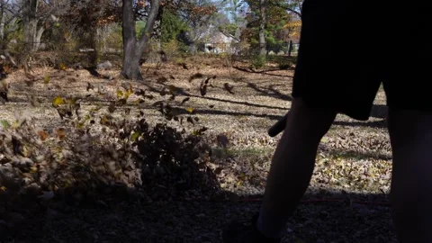 Sped Up of Person Leaf Blowing in Backyard During Fall Stock Footage 256120214
