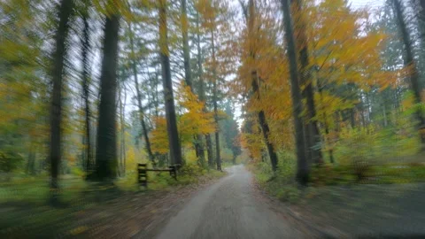 Sped up POV point of view driving on narrow gravel road in forest Stock Footage 142702169