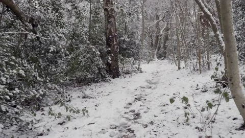 Sped up. Walking though a snow covered wood. Crohan Hurst, Croydon. Stock Footage 147262770
