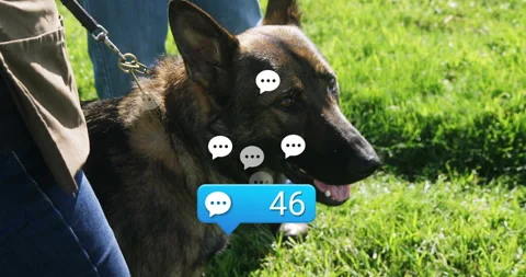 Speech bubble popping over Shepherd head initiating message count rising for Stock Footage 314103759