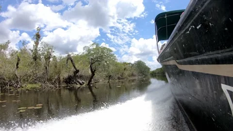 Speed Boat Down Tropical River Vídeos de archivo 168533166