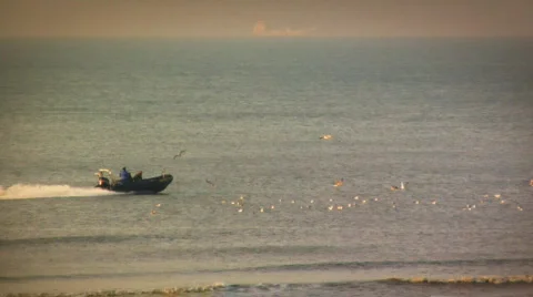 Speed Boat Vidéo 93154