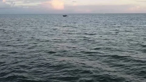 Speed boat Stock Footage 145403789