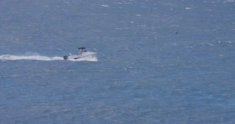 Speed Boat Stock Footage 164132173