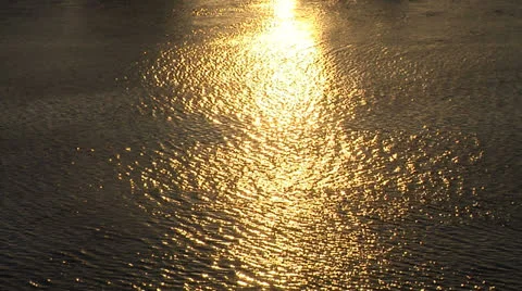 Speed boat in the rays of sunset Stock Footage 22771155
