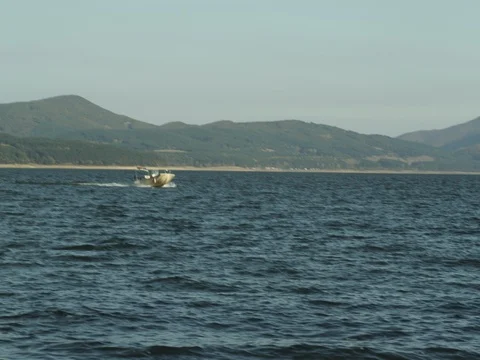 Speed Boat is Sailing Fast, Geared Towards the Shore of a Lake Stock Footage 74657941