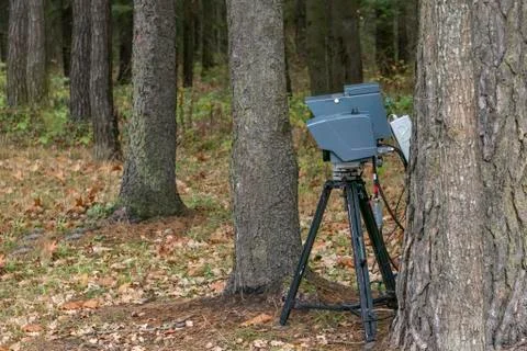 Speed camera is standing in the forest. shallow depth of field. there is tint Stock Photos