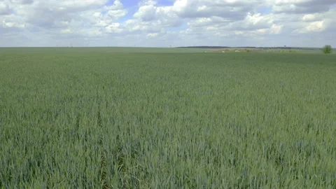 Speed flight Stock Footage 131052376