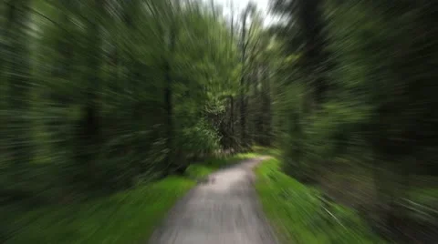 Speed forest Stock Footage 10919352