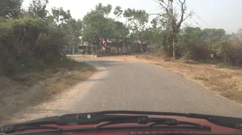 The speed in the forest Stock-Footage 33473830