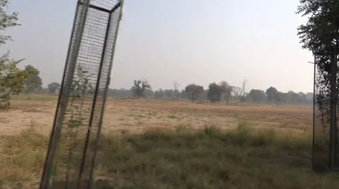 The speed in the forest2 Stock-Footage 33473820