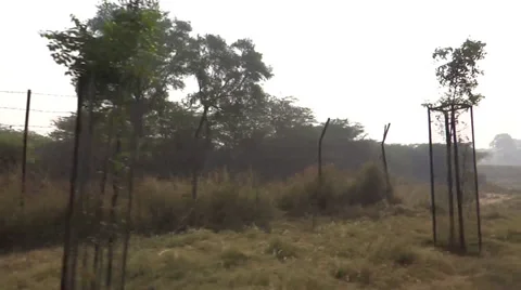 The speed in the forest3 Stock Footage 33473814