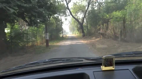 The speed in the forest4 Stock Footage 33473734