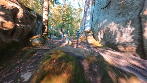 Speed FPV copter flight in forest. Cinematic scenery wild stone rocks, mountains Stock Footage 167925698