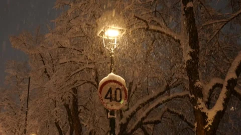 Speed Limit 40 Traffic Sign at Night During Snowfall Vidéo 338991208