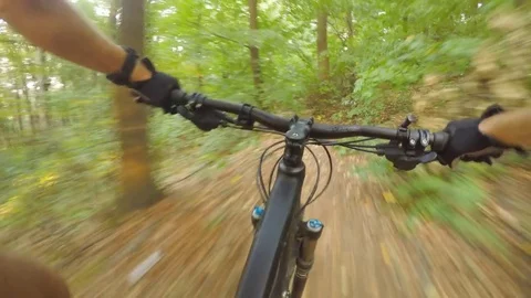 Speed mountain biking in summer forest on bike trail, first person point of view Stock Footage 80771794