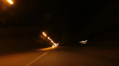 Speed on night road time lapse Stock Footage 12080275