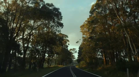 Speed on the road Vidéo 42485033