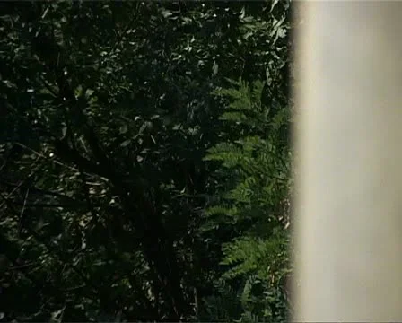 Speed train 2. The view from the train window Video stock 10901115