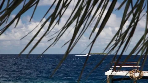 Speedboat comes to the island Stock Footage 82496885