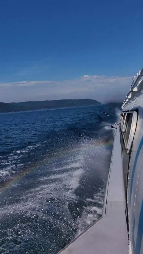 Speedboat creating rainbow in ocean wake. vertical. Stock-Footage 333286346