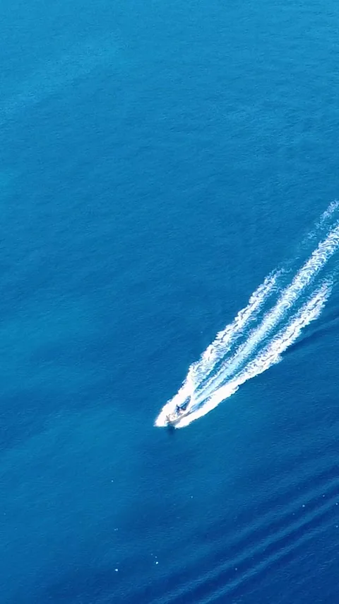 Speedboat Glides Across Pristine Blue Waters in Sunny Coastal Location Stock-Footage 311111592