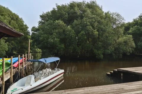 Speedboat Stock Photos