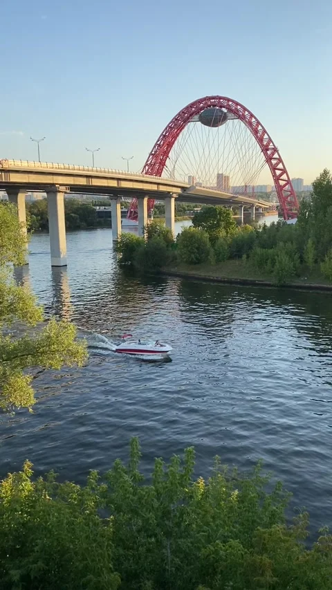 A speedboat sailing slowly down the river 스톡 동영상 245685775