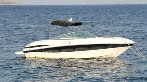 Speedboat &amp; seagull flight Stock Footage 12048014