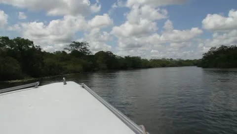 Speedboat Upriver Belize 動画素材 11117209