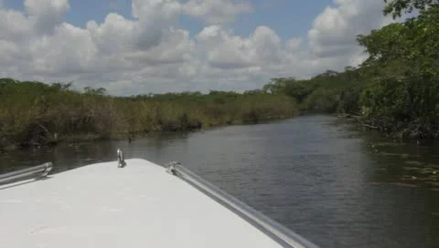 Speedboat Upriver Belize Narrow 動画素材 11117322