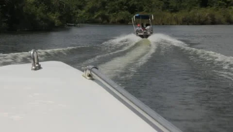 Speedboat Upriver Belize2 動画素材 11117366