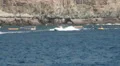 Speedboat water sports in Gran Canaria HD Footage
