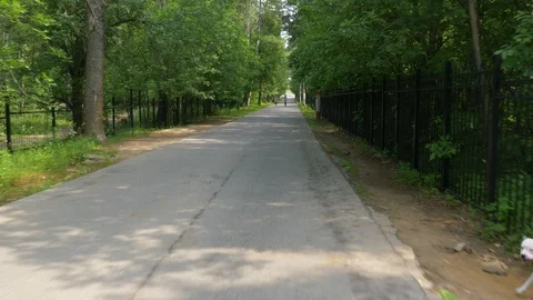 Speeding cycle rides along asphalt lane past bushy forest Stock Footage 110856446