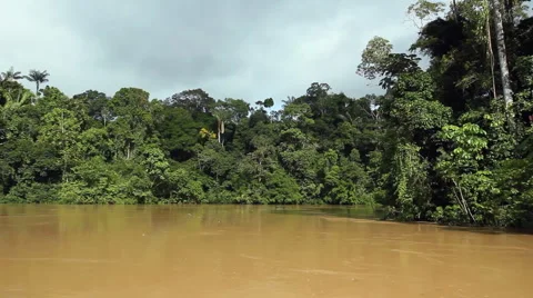 Speeding down an Amazonian river Stock Footage