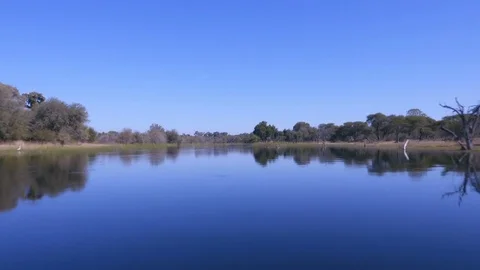 Speeding down rural river with acacia scrub trees on either side Stock Footage 81565066
