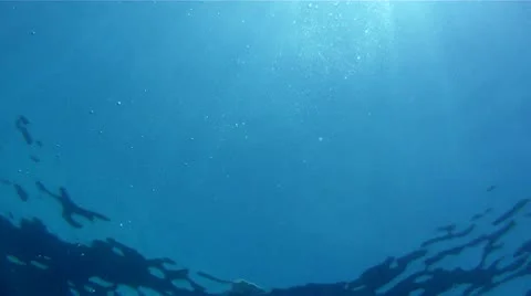 Speeding Motorboat from Underwater Stock Footage