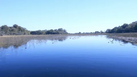 Speeding round the bend on lilly flanked river in the Okavango Delta Botswana Stock Footage 81565073