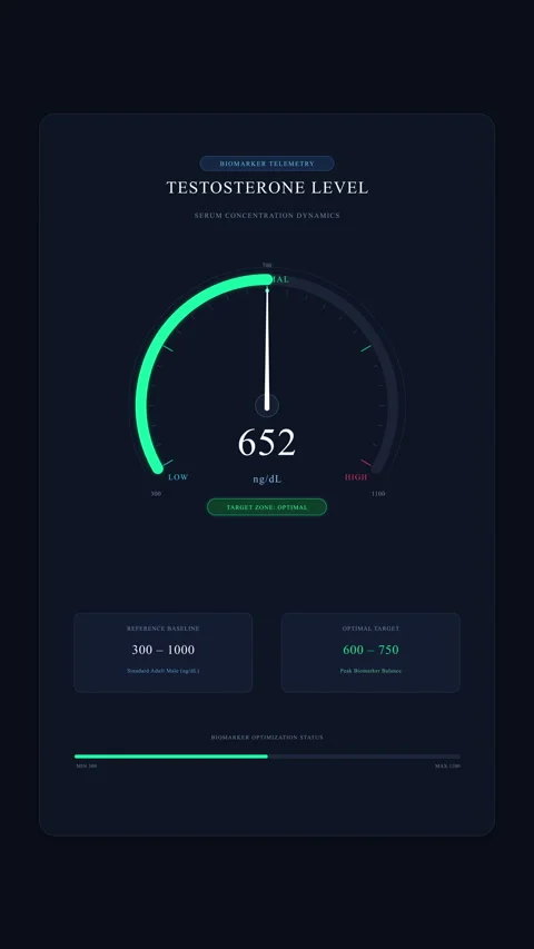 Speedometer gauge speedometer test speed test meter loop animation Stock Footage 346877530