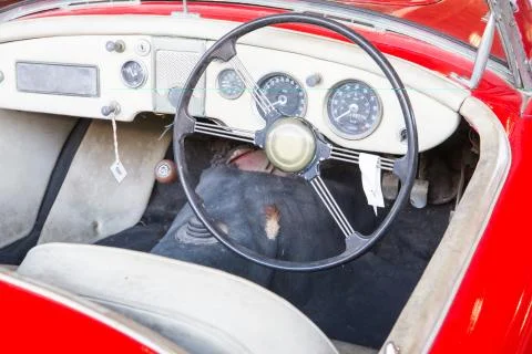 Speedometer Stock Photos