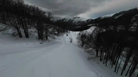 Speedy Aerial View Over Bare Trees and Snowy Mountain Landscape Stock Footage 328307976