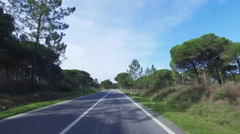 Speedy Driving on a Road in Forest Video stock 59706148