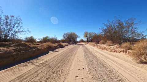 Speedy hyperlapse of sunken dirt road in the desert with trees whizzing by Stock Footage 147248657