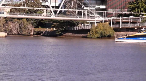 Speedy Public Ferry in River 库存影片 39886728