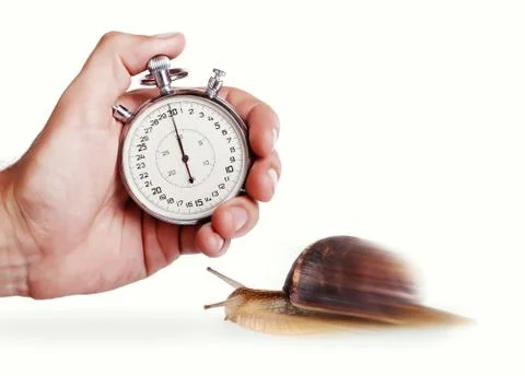 Speedy snail Foto stock