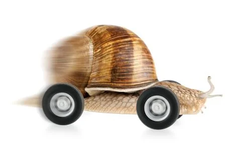 Speedy snail on wheels Stock Illustration