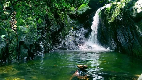 Spellbinding pond with waterfall in middle of jungle. Mysterious pool in tropics Video stock 74978444