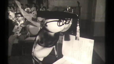 Spelling Bee Opens, School Children Compete in Academic Competition Stock Footage 130712998